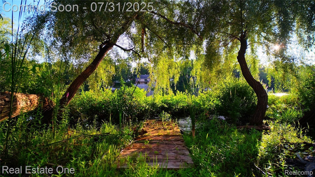 000 Pearson Dr, Milford, MI 48381 - photo 1