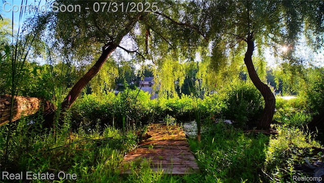 000 Pearson Dr, Milford, MI 48381 - photo 1