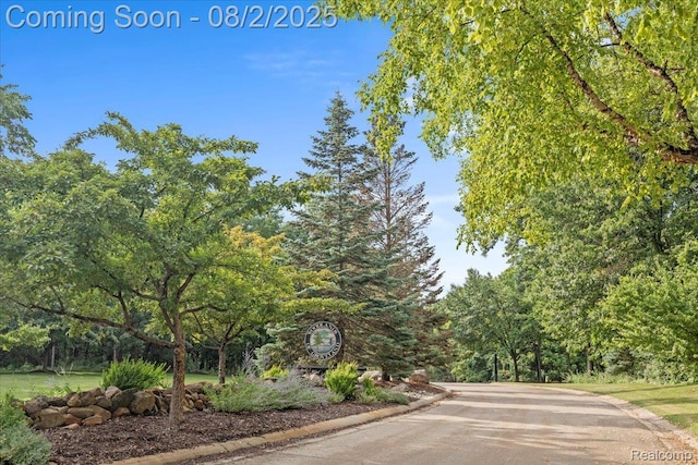 15301 Oak Hollow Dr, Holly, MI 48442 - photo 59