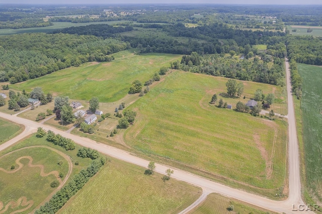 1991 Townline Hwy, Adrian, MI 49221 - photo 38