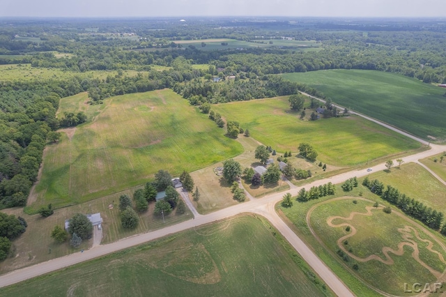 1991 Townline Hwy, Adrian, MI 49221 - photo 45