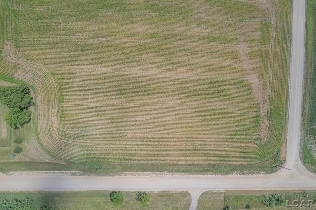 1991 Townline Hwy, Adrian, MI 49221 - photo 46