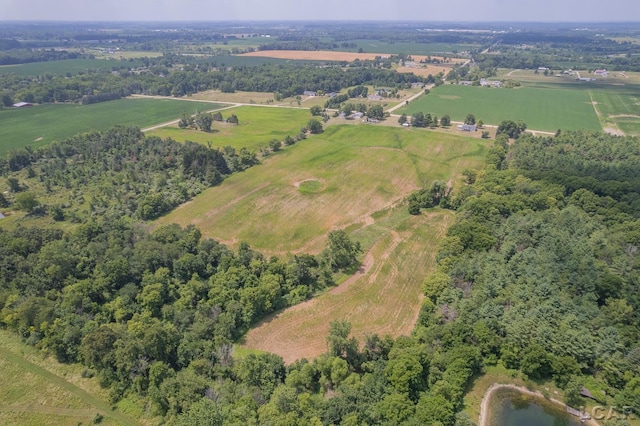 1991 Townline Hwy, Adrian, MI 49221 - photo 48
