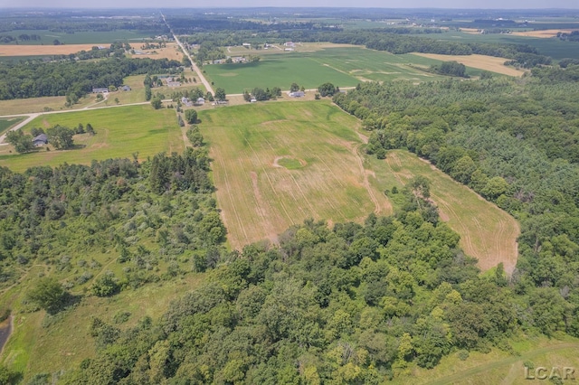 1991 Townline Hwy, Adrian, MI 49221 - photo 50