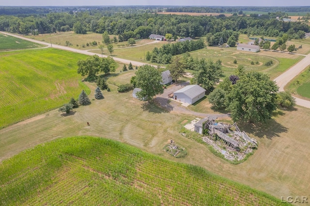 1991 Townline Hwy, Adrian, MI 49221 - photo 53