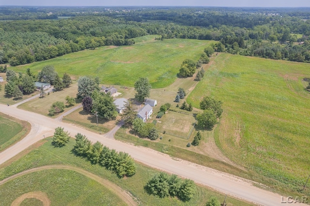 1991 Townline Hwy, Adrian, MI 49221 - photo 40