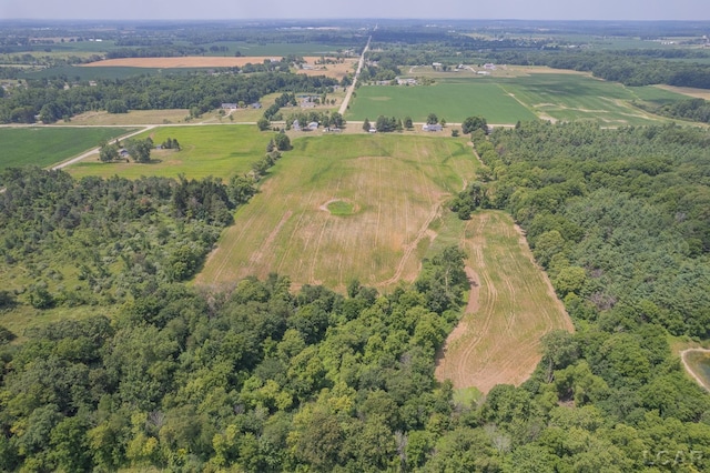 1991 Townline Hwy, Adrian, MI 49221 - photo 49