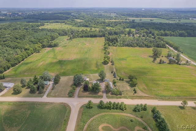 1991 Townline Hwy, Adrian, MI 49221 - photo 43