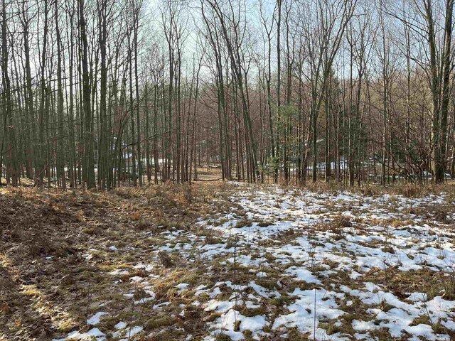 9357 W Circle Dr, Stanwood, MI 49346 - photo 3