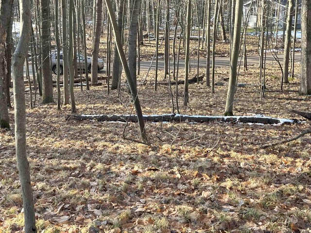 9357 W Circle Dr, Stanwood, MI 49346 - photo 5