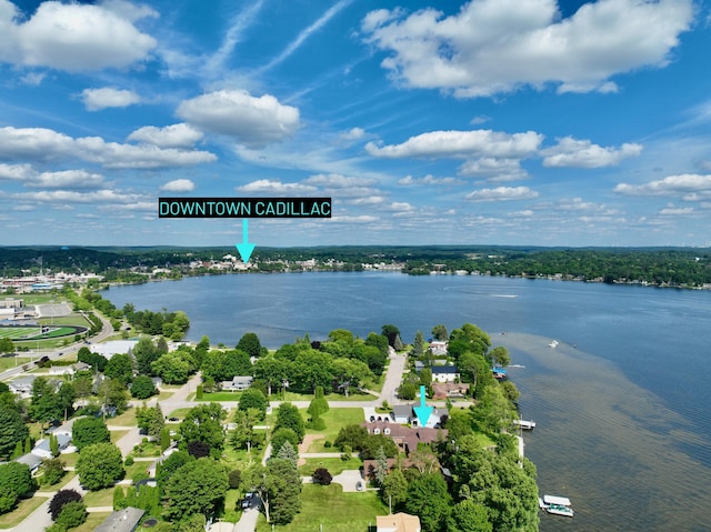 707 Lake Shore Dr, Cadillac, MI 49601 - photo 47