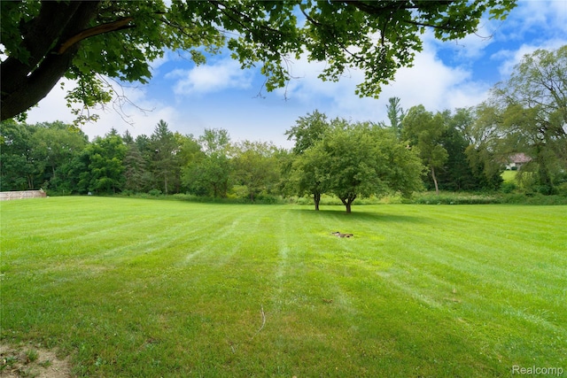 4566 Clyde Rd, Howell, MI 48855 - photo 17