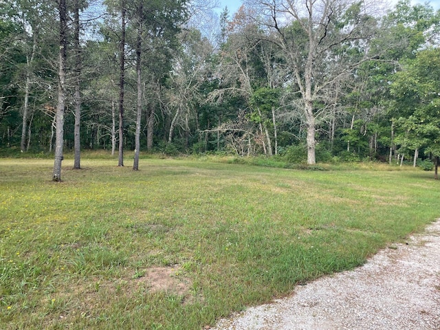 2225 Leisura Loop, Baldwin, MI 49304 - photo 12