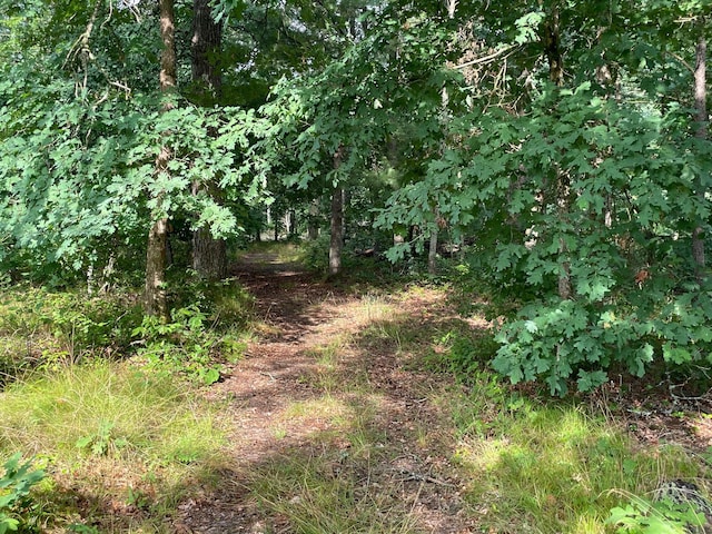 2225 Leisura Loop, Baldwin, MI 49304 - photo 18