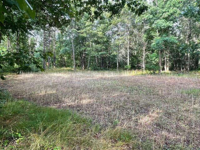 2225 Leisura Loop, Baldwin, MI 49304 - photo 20