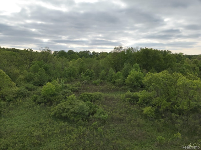 V/L Bunkerhill Rd, Jackson, MI 49201 - photo 14