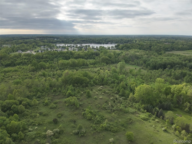 V/L Bunkerhill Rd, Jackson, MI 49201 - photo 1