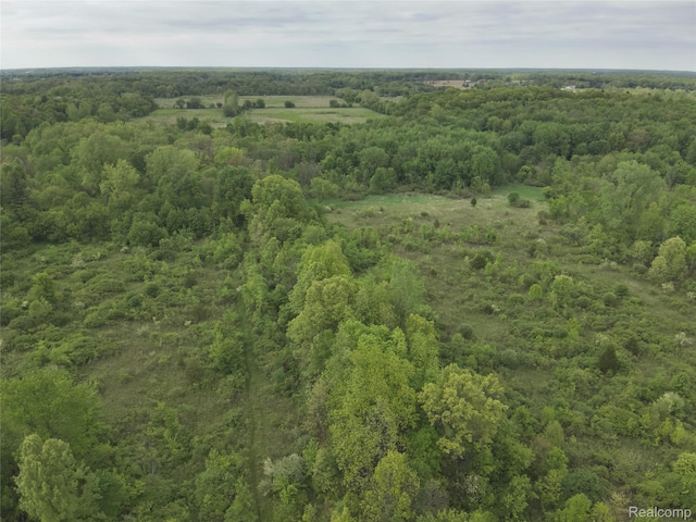 V/L Bunkerhill Rd, Jackson, MI 49201 - photo 5