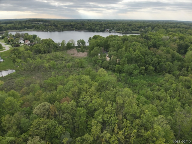 V/L Bunkerhill Rd, Jackson, MI 49201 - photo 11