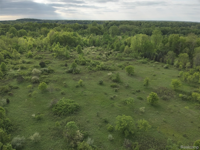 V/L Bunkerhill Rd, Jackson, MI 49201 - photo 4