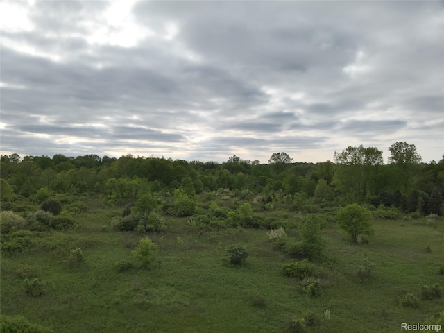 V/L Bunkerhill Rd, Jackson, MI 49201 - photo 13