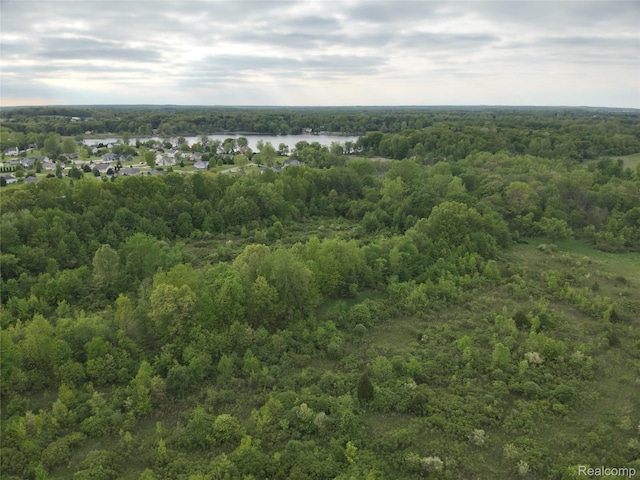 V/L Bunkerhill Rd, Jackson, MI 49201 - photo 17