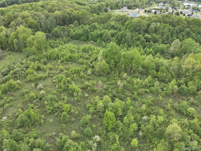 V/L Bunkerhill Rd, Jackson, MI 49201 - photo 18