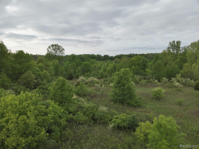 V/L Bunkerhill Rd, Jackson, MI 49201 - photo 15