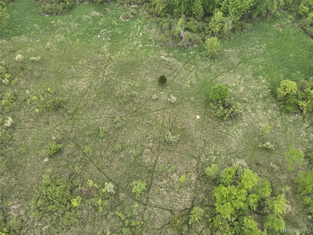 V/L Bunkerhill Rd, Jackson, MI 49201 - photo 21