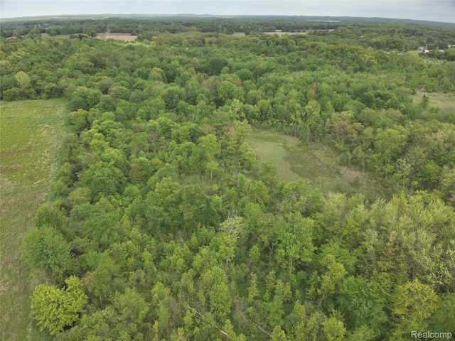 V/L Bunkerhill Rd, Jackson, MI 49201 - photo 12