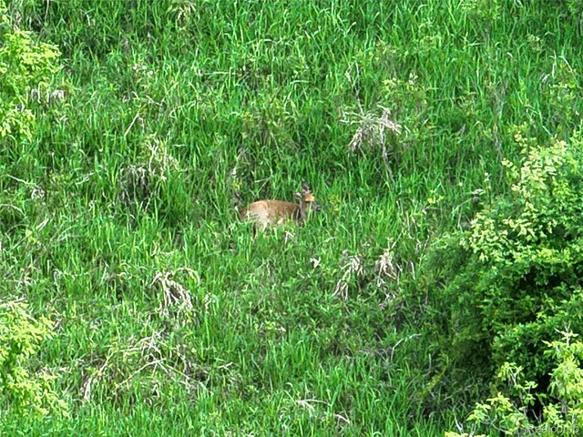 V/L Bunkerhill Rd, Jackson, MI 49201 - photo 30