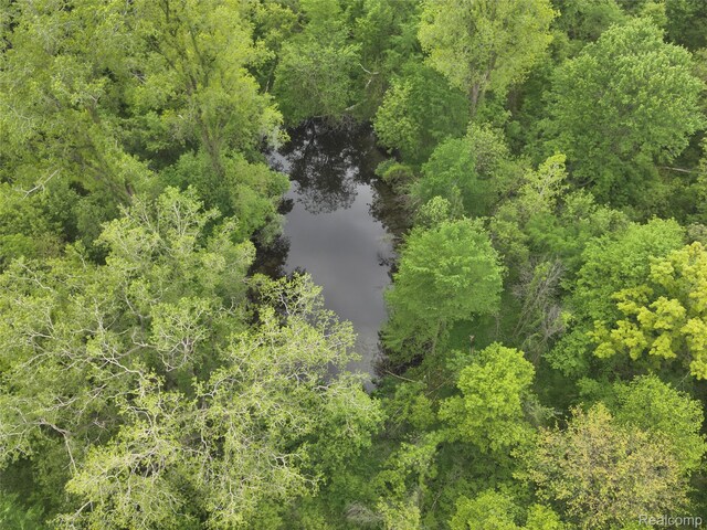 V/L Bunkerhill Rd, Jackson, MI 49201 - photo 23