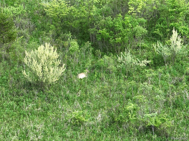 V/L Bunkerhill Rd, Jackson, MI 49201 - photo 28