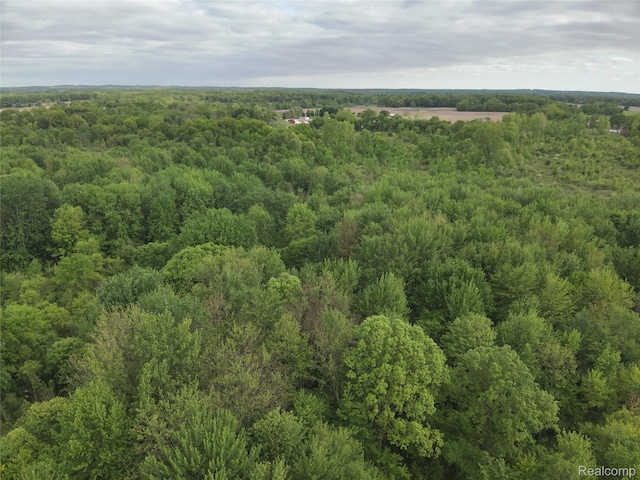 V/L Bunkerhill Rd, Jackson, MI 49201 - photo 27