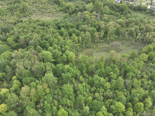 V/L Bunkerhill Rd, Jackson, MI 49201 - photo 26