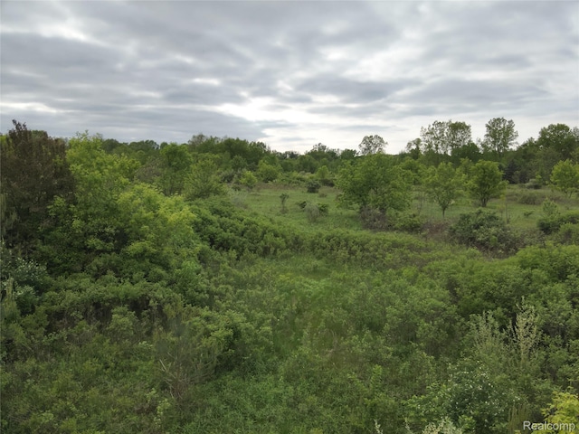 V/L Bunkerhill Rd, Jackson, MI 49201 - photo 2