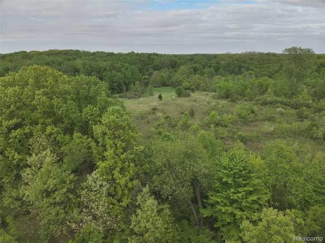 V/L Bunkerhill Rd, Jackson, MI 49201 - photo 7