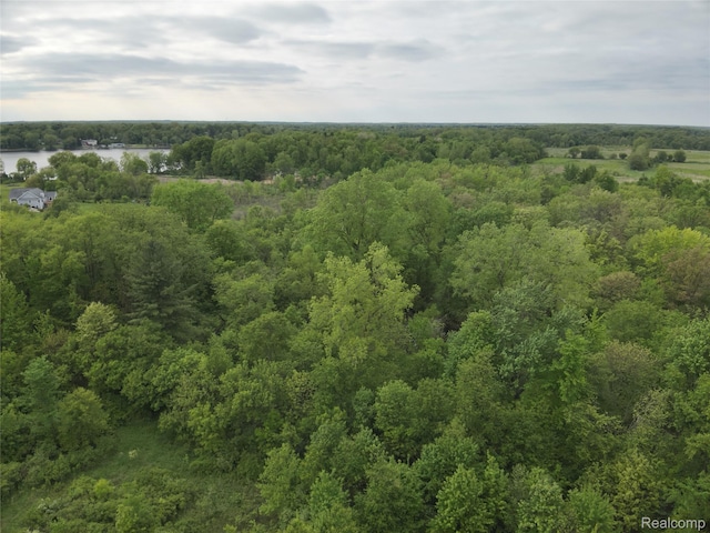 V/L Bunkerhill Rd, Jackson, MI 49201 - photo 8