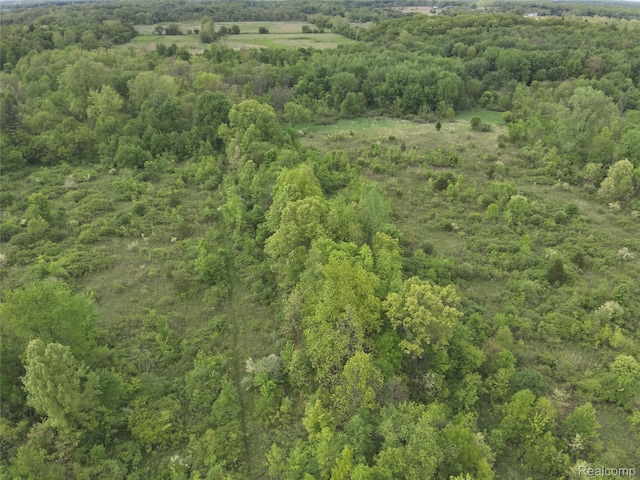V/L Bunkerhill Rd, Jackson, MI 49201 - photo 6