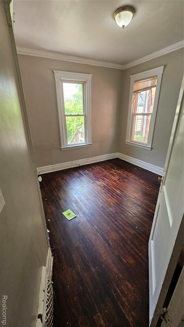 4481 Seminole St, Detroit, MI 48214 - photo 21
