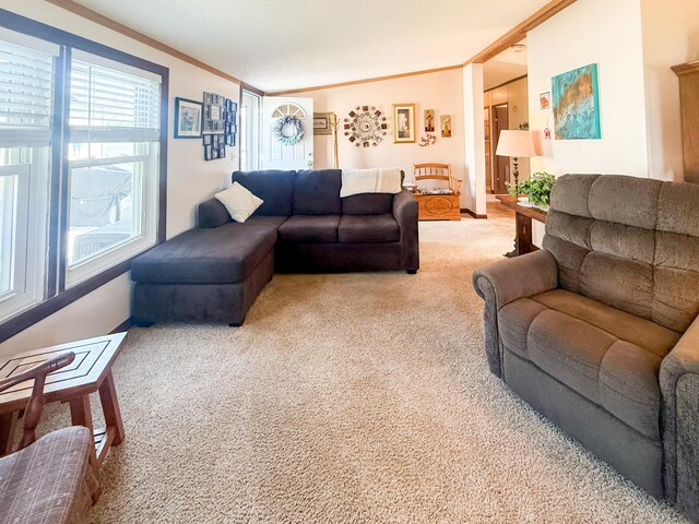710 Freedom Ct, Potterville, MI 48876 - photo 6