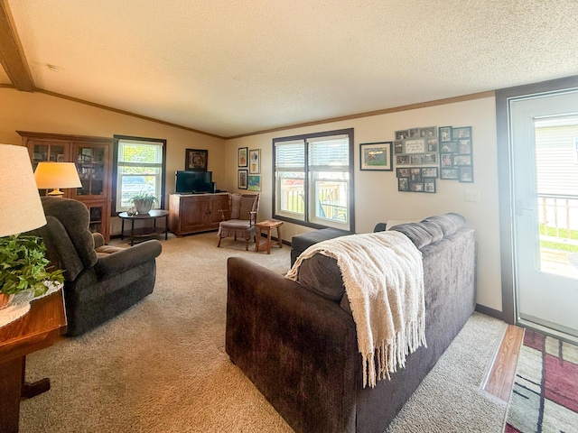 710 Freedom Ct, Potterville, MI 48876 - photo 8
