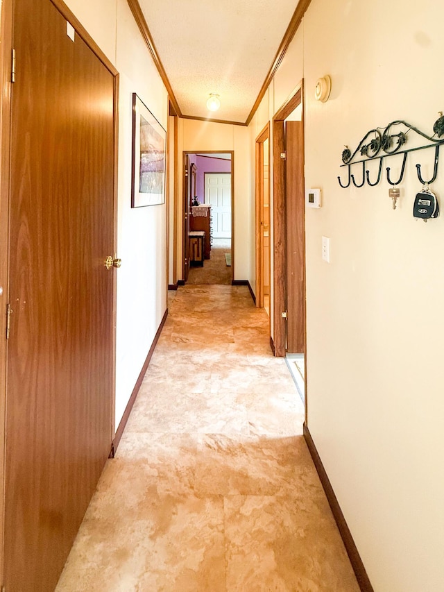 710 Freedom Ct, Potterville, MI 48876 - photo 9