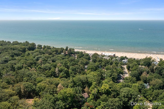 16 Crescent Hl, Grand Haven, MI 49417 - photo 48