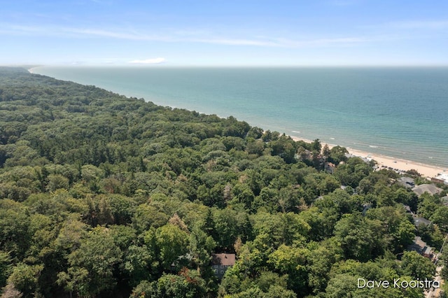 16 Crescent Hl, Grand Haven, MI 49417 - photo 49