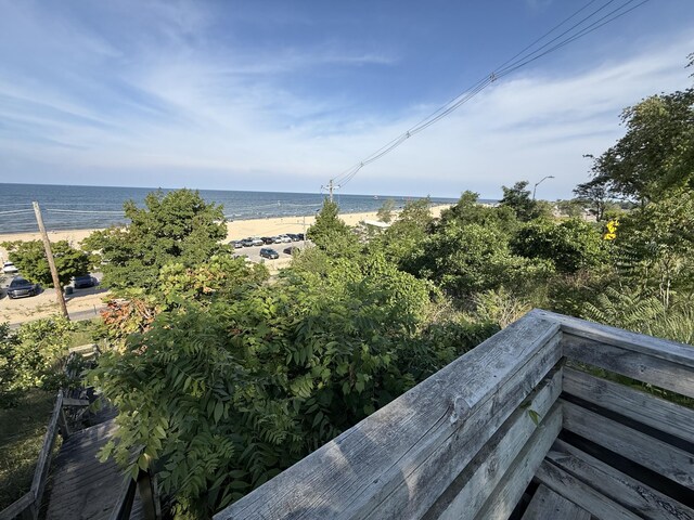 16 Crescent Hl, Grand Haven, MI 49417 - photo 58