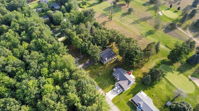 132 White Deer Trl, Prudenville, MI 48651 - photo 32