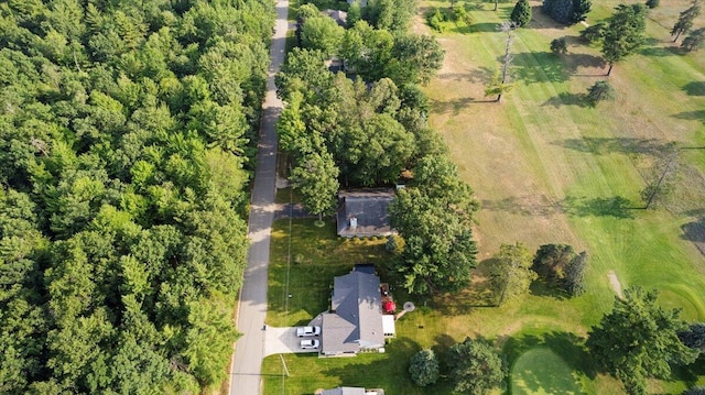 132 White Deer Trl, Prudenville, MI 48651 - photo 33