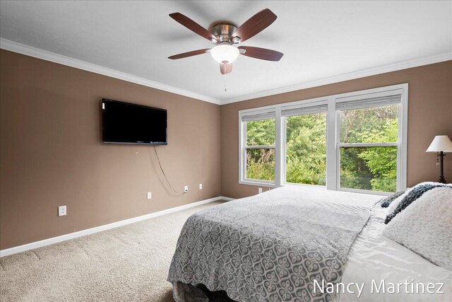 2869 N Saddle Ridge Ct NE, Rockford, MI 49341 - photo 19