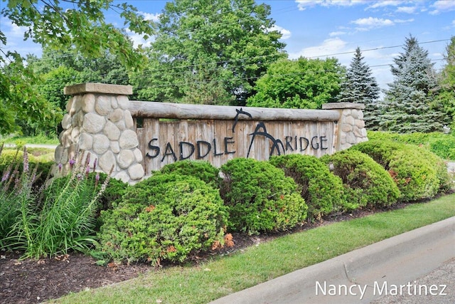 2869 N Saddle Ridge Ct NE, Rockford, MI 49341 - photo 41